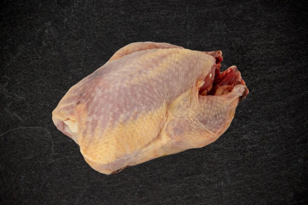 Partridge